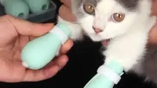 Silicone Cat Grooming Supplies Anti-Scratch Shoes For Cats