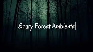 Scary Forest Ambient 🌲 | 7 Hours of Creepy Night Woods Sounds
