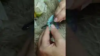 Single crochet #crochet #crochetbeginner #asmr #singlecrochet