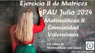 Ejercicio II de Matrices PAU Julio 2024 Matemáticas II Comunidad Valenciana