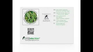 L. RHAMNOSUS AND L.GASSERI YOGURT STARTER CULTURES