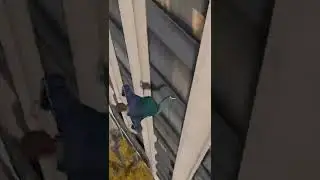 Helicopter Ragdoll