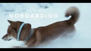 diary003 - noboarding