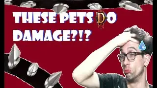 10 Pets that actually do Damage in Diablo 3