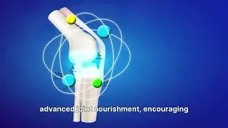 Probase Nutrition Ultra Joint Flex &mdash; Glucosamine, Chondroitin, MSM & Turmeric for Joint Health