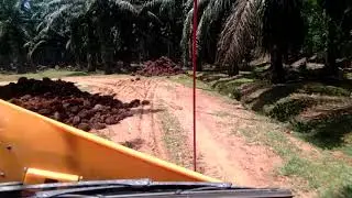 Supir truk fuso 4x2L dengan skill Dewa