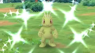 ✨Shiny Machop✨👊 in Pok&eacute;mon Go #pokemon #shorts #pokemongo #shinypokemon #shinymachop