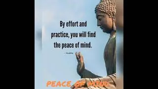 PEACE OF MIND #hocphat #peace