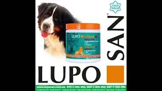 Таблетки для укрепления суставов LUPO Gelenk 40 Tabletten (таблетки)