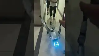 Robot struggles to walk and keeps falling in Henan, China