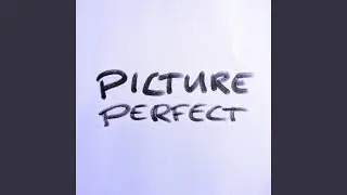 Picture Perfect