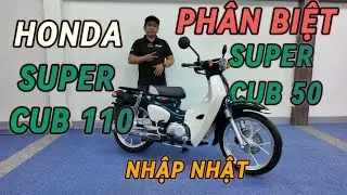 Cách phân biệt Honda Super Cub 50-Super Cub 110abs#honda#hondasupercub#cub110#cub110abs#cub110nhat