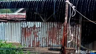 Heavy Rain on Zinc Roof 🌧️ 10 Hours of Loud Rain Sounds for Deep Sleep