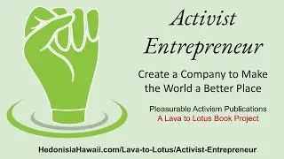AE3   Practicality & Stress Tests for an Activist Entrepreneur Business