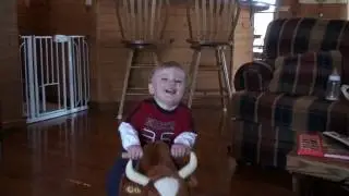 bull riding daniel
