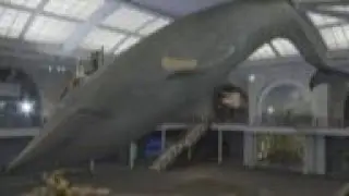 NYC's iconic blue whale gets annual cleaning