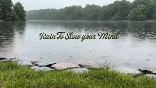 Gentle Forest Rain Sounds Deep Relaxation Stress Relief Peaceful Sleep