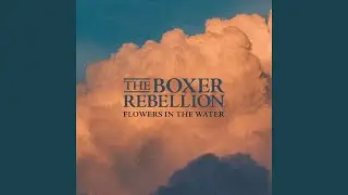 Flowers In The Water