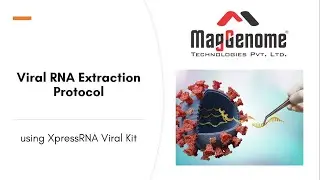 XpressRNA Viral Kit | Viral RNA Extraction Protocol