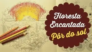 Floresta Encantada | Página dos Patinhos | Pôr do Sol