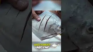 Machliyon ka khazana | White Pomfret | Fish Party 🐟