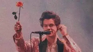 from the dining table - harry styles 1 hour loop