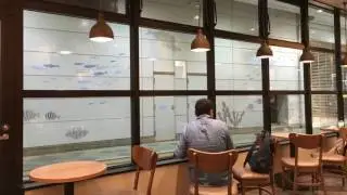 下関大丸店/Shimonoseki Daimaru/STARBUCKS/JAPAN/日本