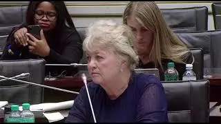 🔥 Honourable Nqola vs Dianne Kohler Barnard: The Ultimate Parliamentary Roast! 🔥