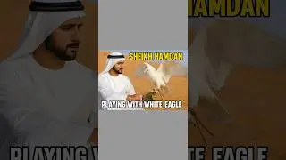 Sheikh Hamdan's Majestic Moment with a White Eagle in the Desert|#dubai #fazza3team #arabroyalfamily