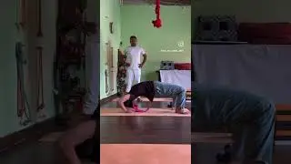 Contact us for yoga courses #yogaskills #yogaclasses #onlineyogaclasses #yogavideos #yttc #yogaskil