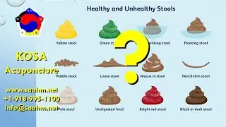 The Truth About Stool Color and Digestive Health Most Doctors Don&rsquo;t Know