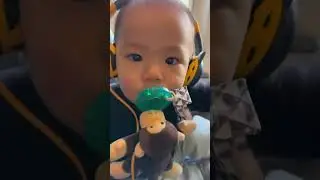 Amazon Baby Travel Must Haves
