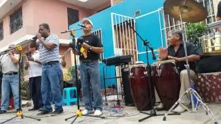 GOZA NEGRA Son Amigos (La Orquesta de la Calle)