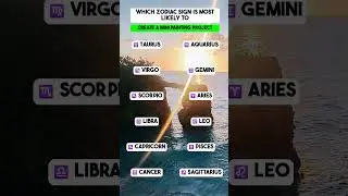 Which Zodiac Sign is most likely to create a mini painting project?
