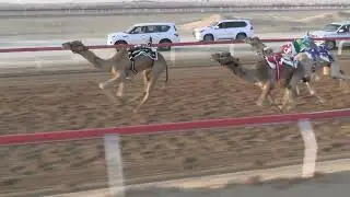 الشوط 6 ☆ ( مبشر  ) للسيد: عبدالله مبارك حمود المنصوري توقيت 4.32.75