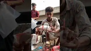 Amazing Big Pangas Fish Cutting Techniques | Fish Cutting Skills