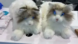 CES2023 Metacat: Smart Robot Cat, Interactive Companion Pet, Realistic & Lifelike Robotic Pet
