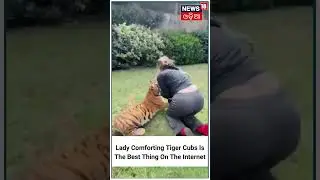 Woman Fearlessly Cuddling and Pampering Tiger Cubs