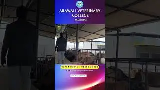 ARAWALI VETERINARY COLLEGE | Sikar, Rajasthan |IDEC