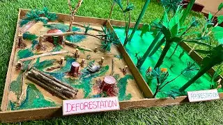 Deforestation and afforestation model | school project | save tree | Black pulse |