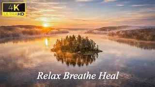 Relaxing Acoustic Guitar Music for Stress Relief + Nature Calm 🌄 Deep Ambient Journey