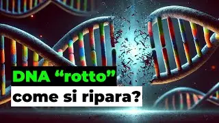 Come vengono riparati i danni al DNA?
