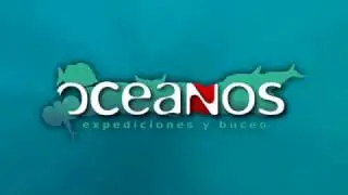 Oc&eacute;anos Expediciones y Buceo