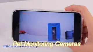 hd streaming dog cat monitoring camera battery operated 1080p rechargeable ip67