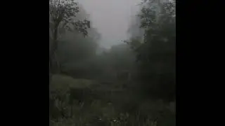slimggp - vampire masquerade (slowed + reverb)