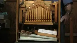 Beer Barrel Polka Street Organ
