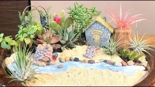 SUCCULENT GARDEN | FAIRY GARDEN