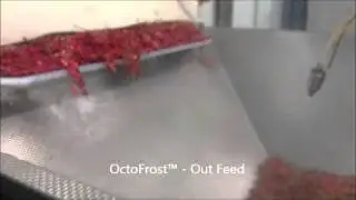 OctoFrost Frozen- IQF Berries: Red Currants