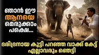 ദരിദ്രനായ ആൺകുട്ടി മതം പിടിച്ച ആനയോട് ചെയ്തത് കണ്ട് ജനങ്ങൾ ഞെട്ടി 😲