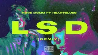 Rose Domm - LSD ft. heartblues [Remix] | prod by. Guala Beatz | Official Music Video